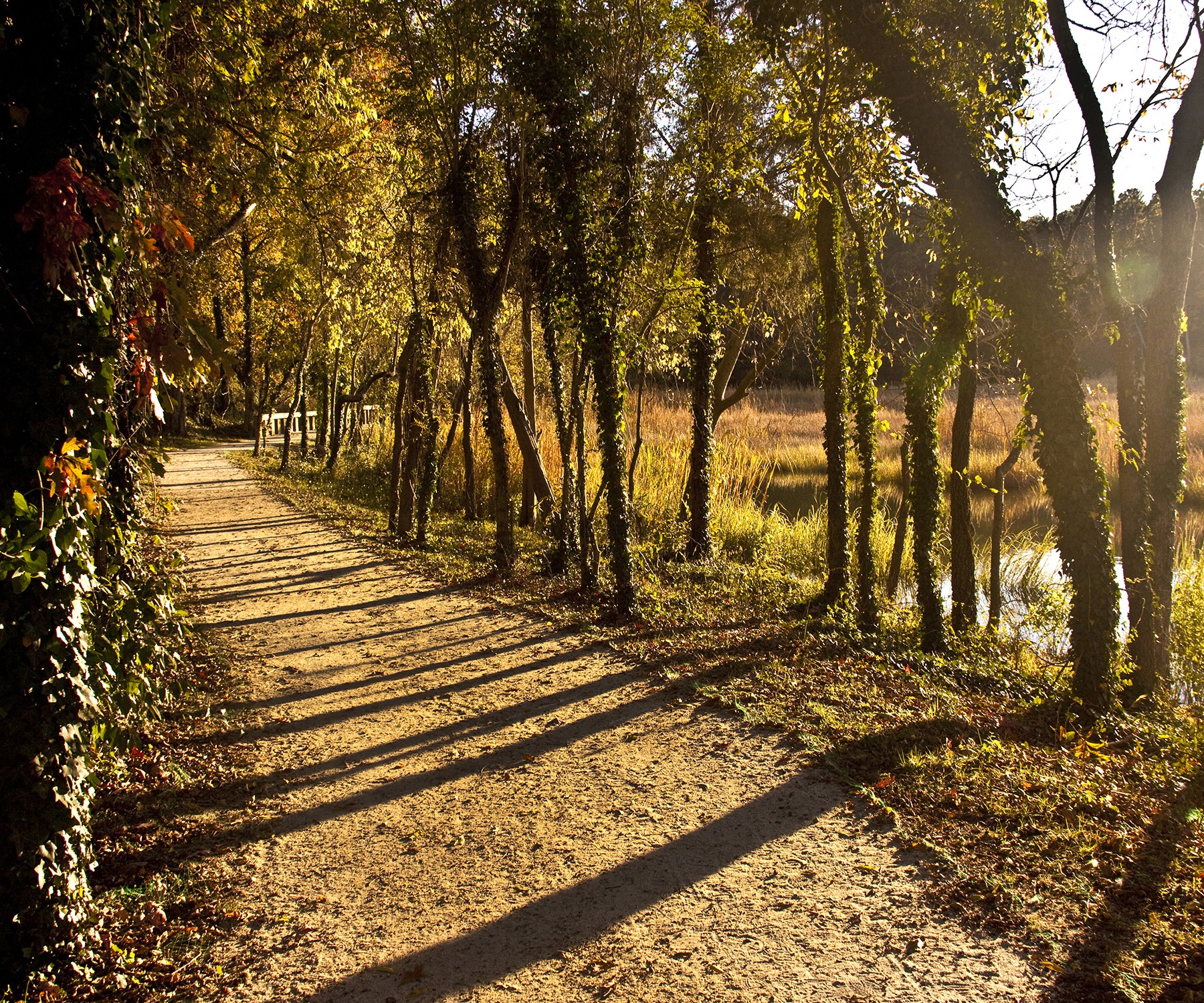 Windsor Castle Park Walking Trail, Smithfield, Virginia