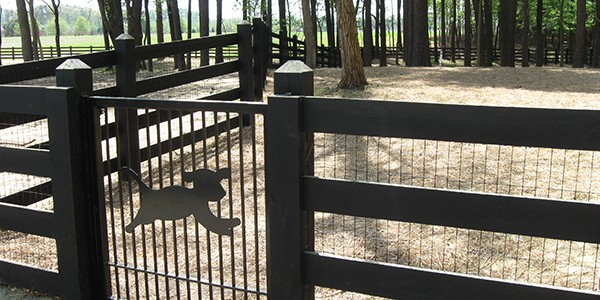 Dog Park, Smithfield, Virginia