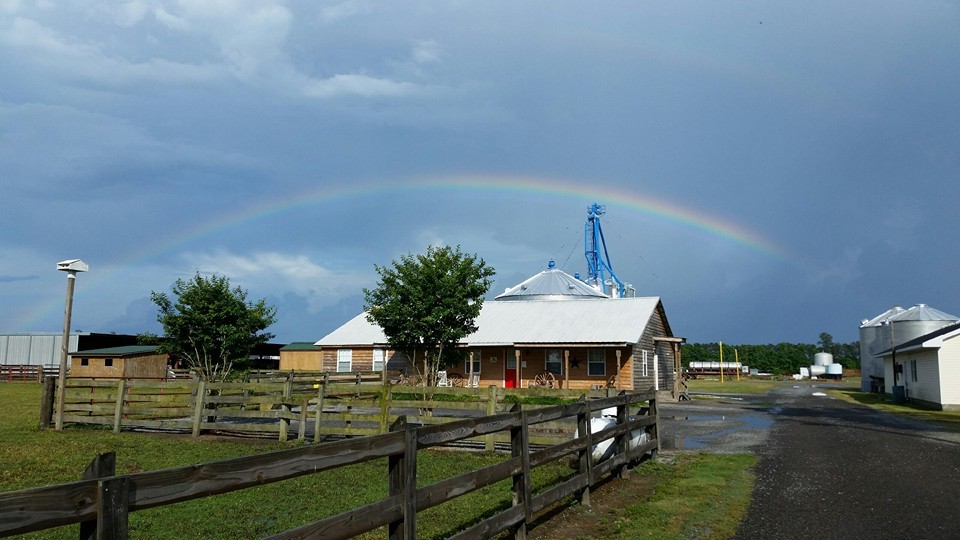 Windhaven Farm, Windsor, VA