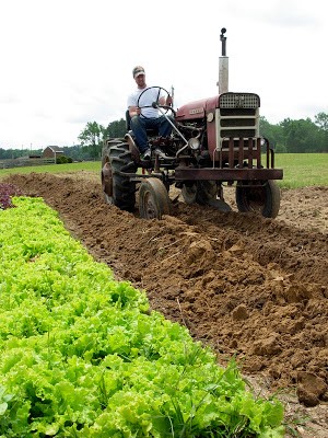 Smithfield & Isle of Wight County Farms